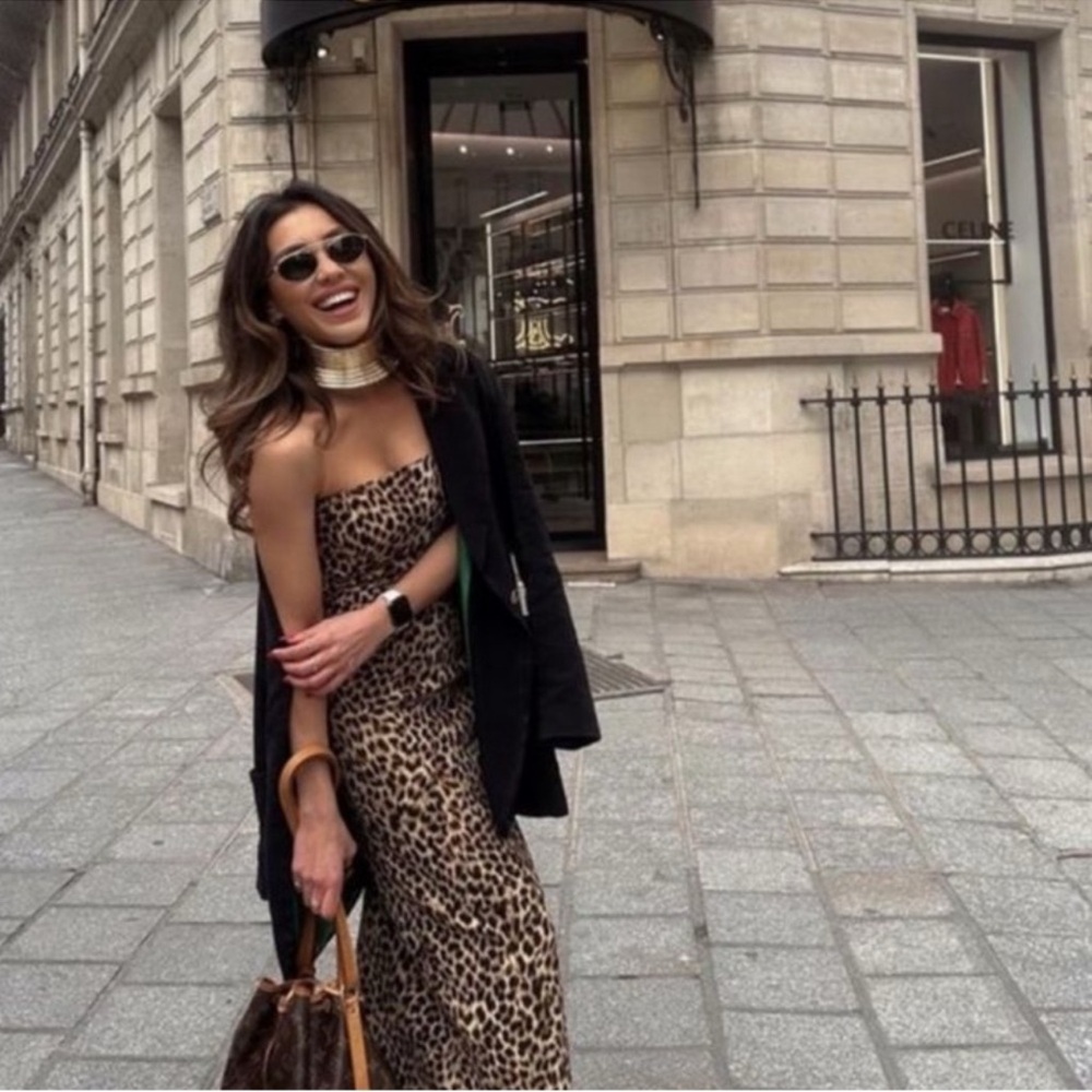 ZARA Leopard Dress - Picture 1 of 8